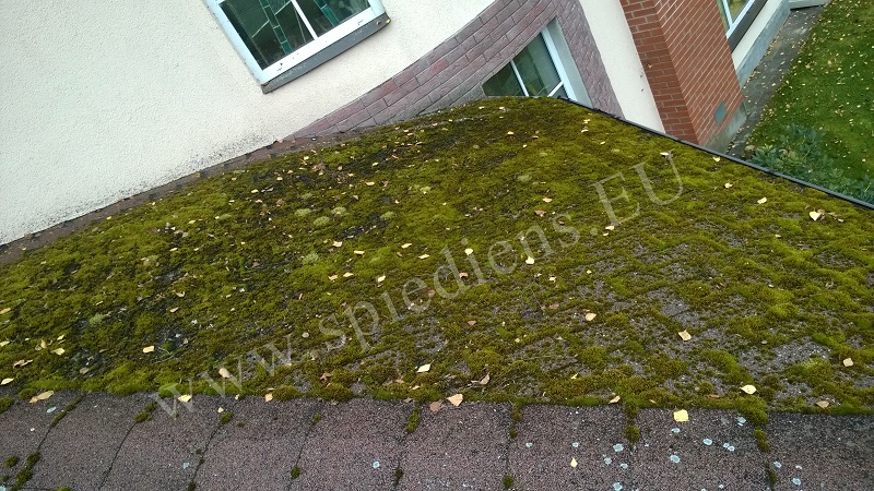 Before roof cleaning - dirty roof