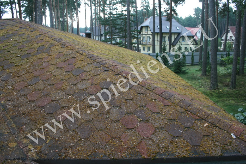 Before roof cleaning - moss-covered shingles